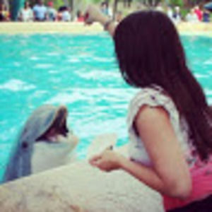 Meet your Posher, Mrs.